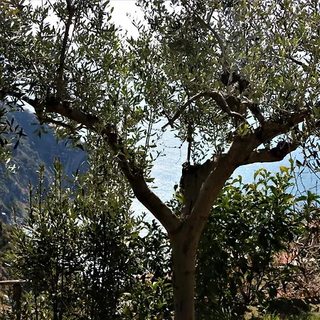 Feriehus La Casetta Di Giuly A Picco Sul Mare *
